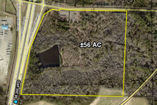 1038 Pinehurst Hawkinsville Road, Pinehurst, GA 31070